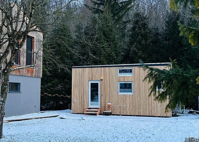 公寓 Tiny House Im Almtal Pettenbach